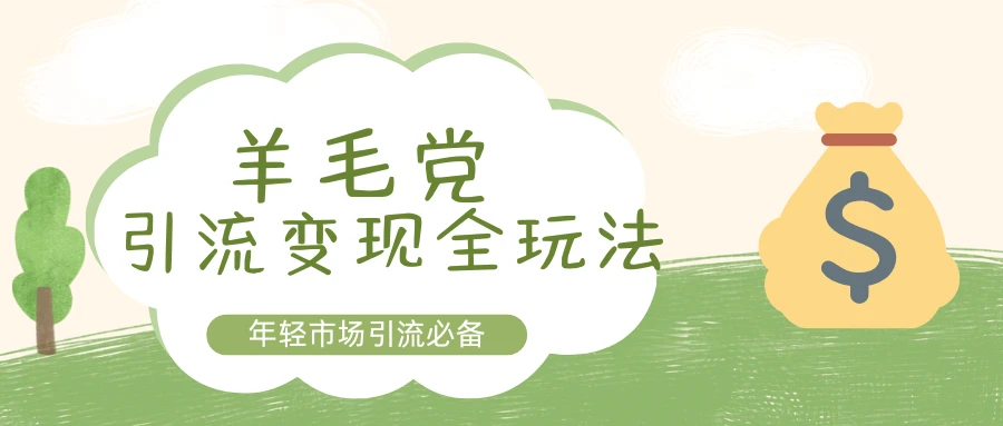 羊毛党引流变现全玩法,年轻市场引流必备!